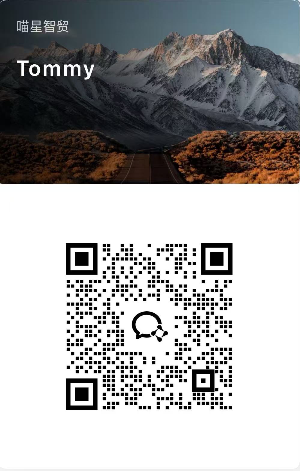 喵星智贸 - Tommy